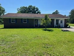 Foreclosure Listing in REESE AVE ELBA, AL 36323