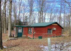 Foreclosure in  KETCHNER RD Wellsville, NY 14895