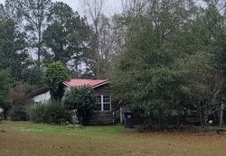 Foreclosure Listing in SETTLEMENT RD DOZIER, AL 36028