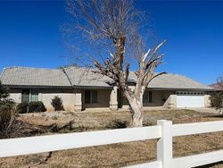 Foreclosure in  DEL ORO RD Apple Valley, CA 92308