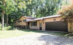 Foreclosure in  E NORWAY LAKE RD Lapeer, MI 48446