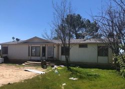 Foreclosure in  WHEELER RD Anza, CA 92539