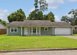 Foreclosure in  LUPINE LN Tallahassee, FL 32308