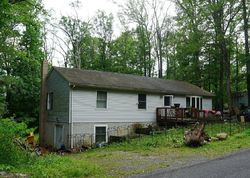 Foreclosure in  GRAYWOLF TRL Winchester, VA 22602