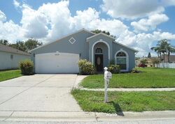 Foreclosure in  CASTLE ROCK CIR Land O Lakes, FL 34639