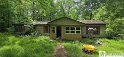 Foreclosure in  UNION HILL RD Hinsdale, NY 14743