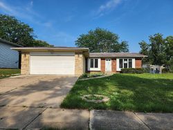 Foreclosure in  REDWOOD DR Richton Park, IL 60471