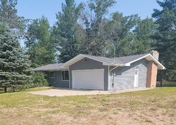 Foreclosure in  BASS LAKE RD Hale, MI 48739