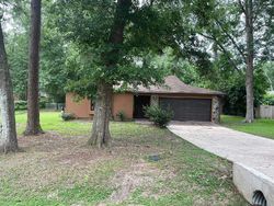 Foreclosure in  BLACK GOLD TRL Tallahassee, FL 32309