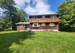 Foreclosure Listing in BIG HOLLOW RD GRAHAMSVILLE, NY 12740