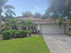 Foreclosure in  EQUINE DR Tarpon Springs, FL 34688