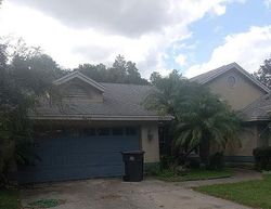 Foreclosure in  WINDBRUSH DR Tampa, FL 33625