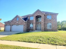 Foreclosure in  FAIRWAY DR Beecher, IL 60401