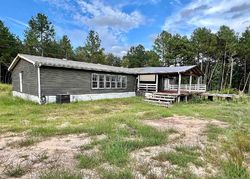 Foreclosure in  COUNTY ROAD 165 Long Branch, TX 75669