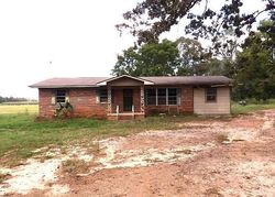 Foreclosure in  COUNTY ROAD 547 Elba, AL 36323