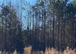 Foreclosure in  CARTER LN Deer Park, AL 36529