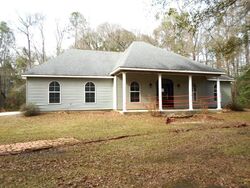 Foreclosure in  HORSE SHOE ISLAND RD Lacombe, LA 70445