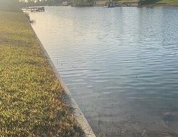 Foreclosure in  JEWFISH DR Spring Hill, FL 34607