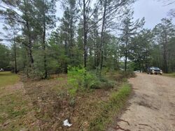 Foreclosure in  E BLUEBOTTLE CT Defuniak Springs, FL 32433
