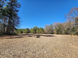  Rabbit Creek Rd, Grove Hill AL