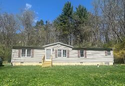 Foreclosure in  TOWER HILL RD Williamsville, VA 24487