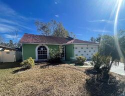 Foreclosure in  RIDGEMORE DR Valrico, FL 33594