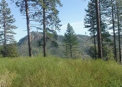 Foreclosure in  SKYWAY # 3 Magalia, CA 95954