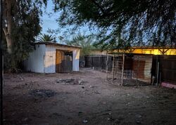Foreclosure in  E BIRCHWOOD AVE Mesa, AZ 85208
