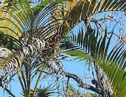 Foreclosure in  NW 118TH ST Miami, FL 33168