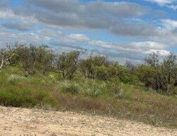 Foreclosure in  FM 382 Talpa, TX 76882