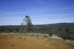 Foreclosure in  KESON PL Grass Valley, CA 95949