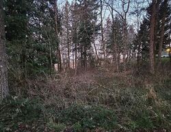 Foreclosure in  86TH LN SE Yelm, WA 98597