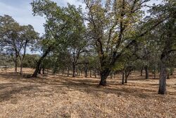 Foreclosure in  MOON RIDGE CT # 222 Auburn, CA 95602