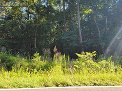 Foreclosure in  PANOLA RD Ellenwood, GA 30294
