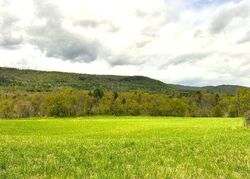 Foreclosure in  Ny-22 Averill Park, NY 12018