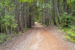 Foreclosure in  Long Point Rd Nevada City, CA 95959