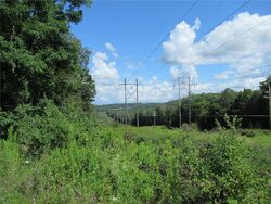 Foreclosure in  Ferndale Road Ferndale, NY 12734