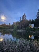 Foreclosure in  Clear Creek Pl Grass Valley, CA 95949