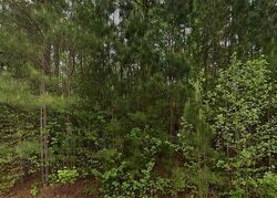 Foreclosure in  Ivy Way LOT 5 Trussville, AL 35173