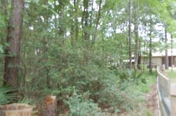 Foreclosure in  Firewood Rd Huntsville, TX 77340