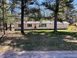 Foreclosure Listing in S STAR LAKE DR BALDWIN, MI 49304