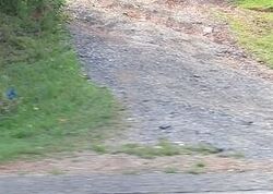 Foreclosure in  TOWN CREEK RD Cleveland, GA 30528