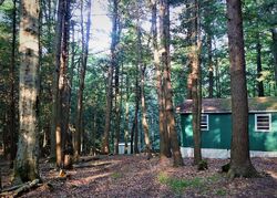  Frost Rd, Dansville NY