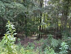 Foreclosure in  SNOWSHOE BND Bethlehem, GA 30620