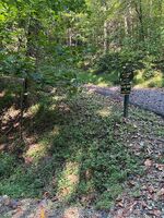 Foreclosure in  Matterhorn Dr Gatlinburg, TN 37738