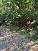 Foreclosure Listing in Matterhorn Dr GATLINBURG, TN 37738