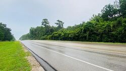 Foreclosure in  Nichols Sawmill Rd Magnolia, TX 77355