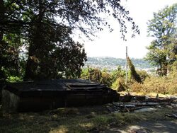 Foreclosure in  Wyandotte St Pittsburgh, PA 15219