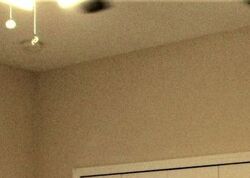 Foreclosure in  BLUE CRYSTAL DR Deland, FL 32720