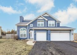 Foreclosure in  LILY CACHE LN Bolingbrook, IL 60490